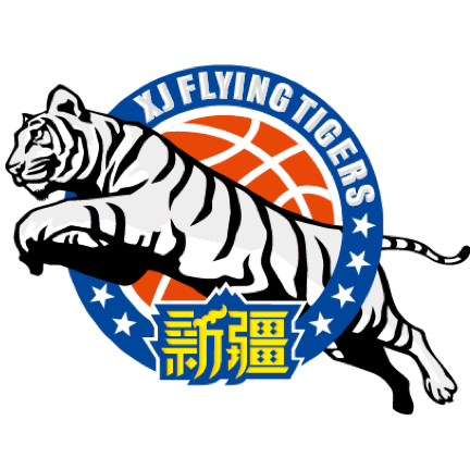 华盛顿奇才
